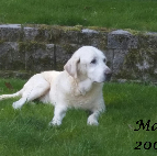 Maddy 2001-2015